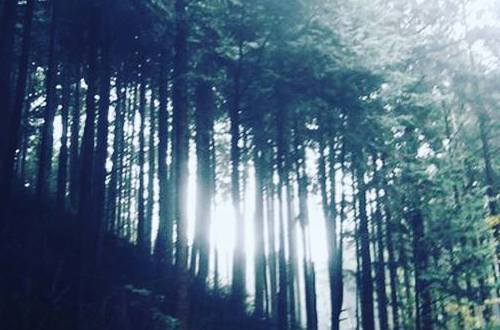 [STフェア]イメージ写真