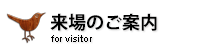 来場のご案内