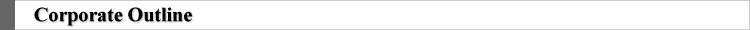 Corporate Outline